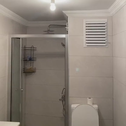 Sihirli Dinozor Yumurtası Projektör